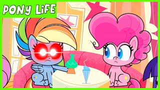 Pony Life  NEW  Rainbow Dash Loyalty Moment  Kindness Day  MLP Pony Life [upl. by Sito]