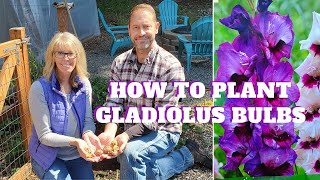 How to Plant Gladiolus Bulbs 🌿💚 [upl. by Betthezel]