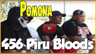 456 Island Piru Bloods at Palomares Park in Pomona CA [upl. by Oinotna]