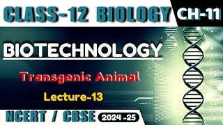 BIOTECHNOLOGY I L13 I BIOTECHNOLOGY AND ITS APPLICATION I CLASS13I NEETCBSEState Board [upl. by Notselrahc654]