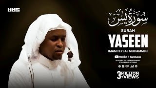 Surah Yaseen سورة يٰسٓ  Beautiful Quran Recitation  Imam Feysal Mohammed [upl. by Dranoel182]