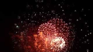 Fireworks with Sound Effects [upl. by Dalli]