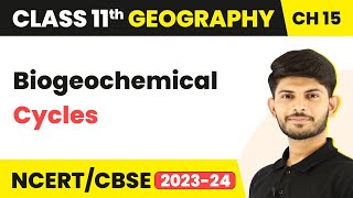 Class 11 Geography Chapter 15  Biogeochemical Cycles  Life On The Earth [upl. by Leonard]