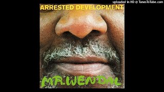 Arrested Development  Mr Wendal Perfecto Mix [upl. by Pernick]